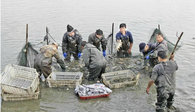 智慧水产养殖整体解决方案