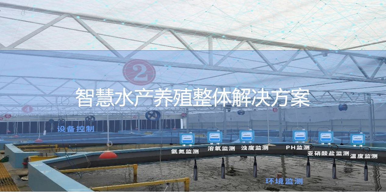 智慧水产养殖